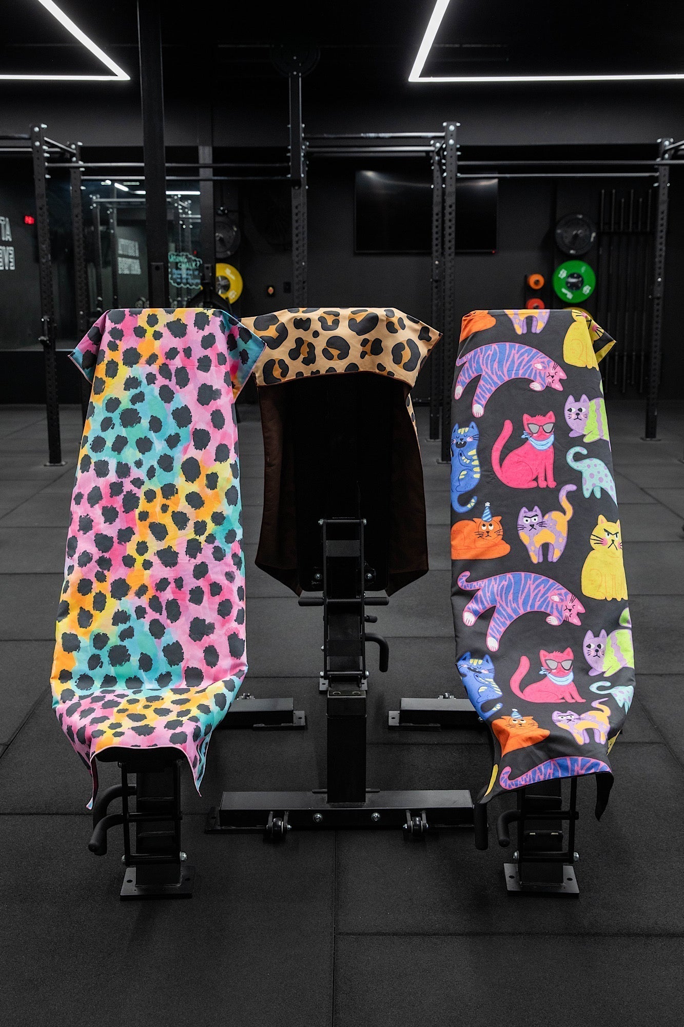 Best Gyms in Melbourne - Cheeky Winx